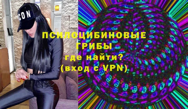 ALPHA-PVP Гусев