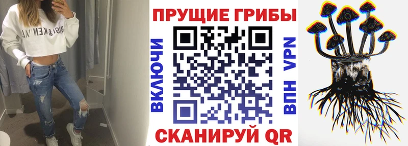 закладки  MEGA как войти  Галлюциногенные грибы MAGIC MUSHROOMS  Зеленоградск 